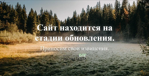 Тест